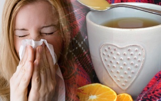 Chřipkové epidemie