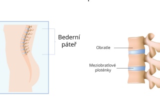 Bederní páteř