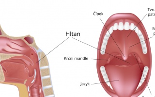 Hltan