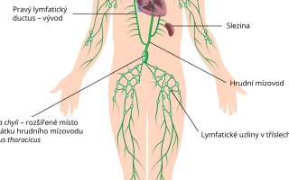 Lymfatický systém