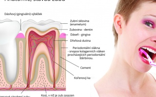 Jak si správně čistit zuby