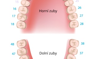 Jak správně pečovat o zuby?