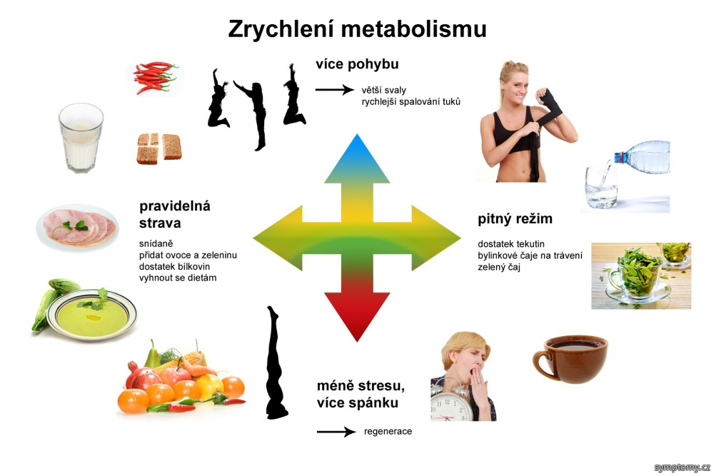 zrychlení metabolismu