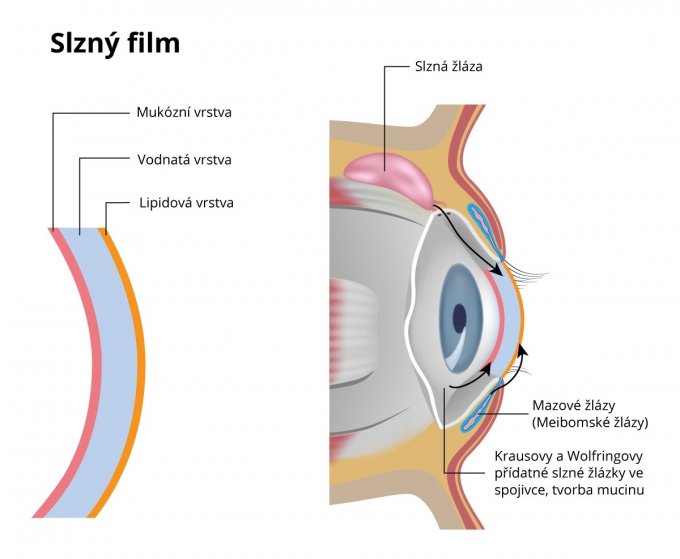 Slzný film