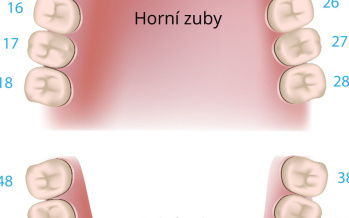 Jak správně pečovat o zuby?