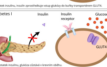 Cukrovka
