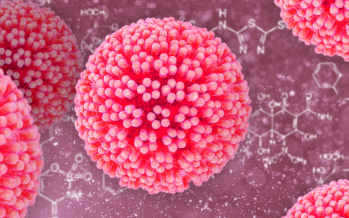 Lidský papilomavirus (HPV)