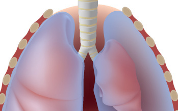 Pneumotorax