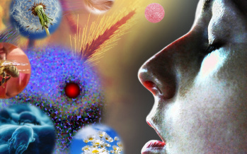 Příznaky alergie
