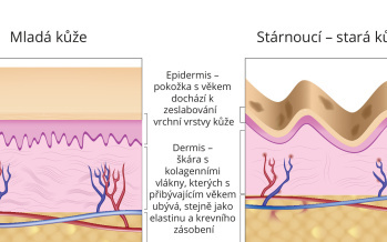 Rozdíly mezi mladou a starou kůží