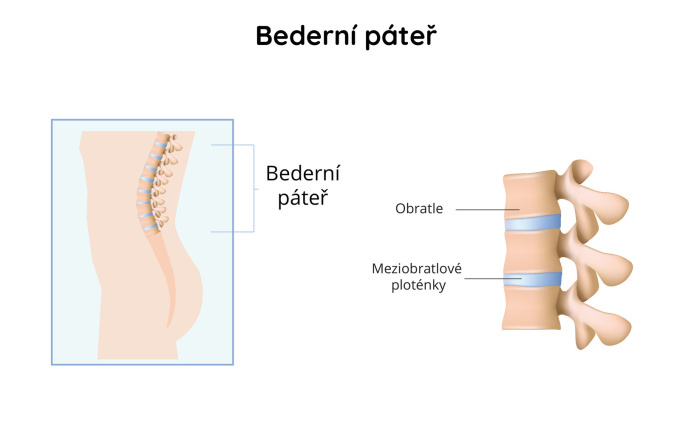 Bederní páteř