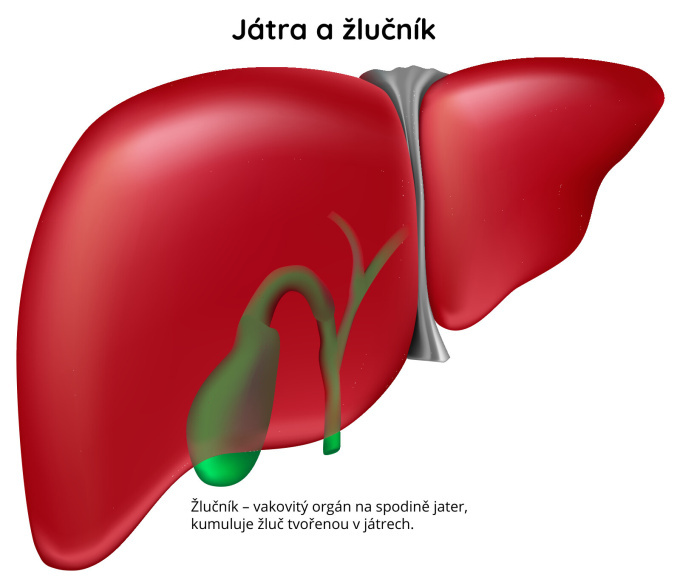 Játra