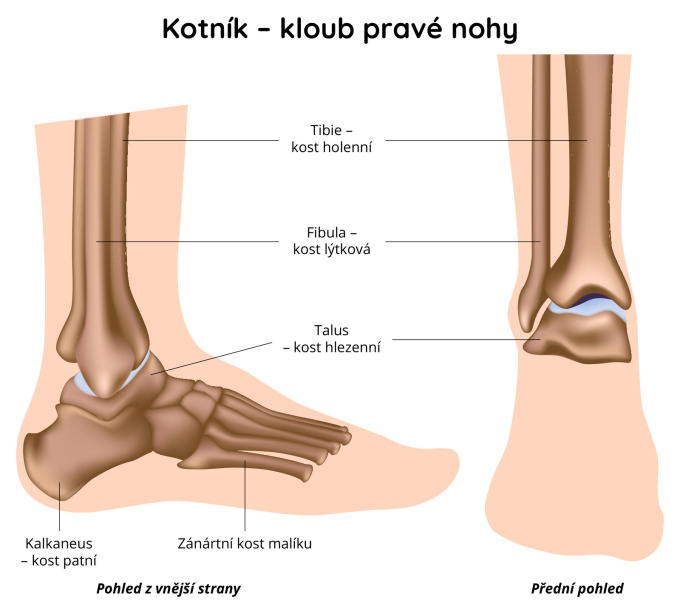 Kotník, kloub pravé nohy