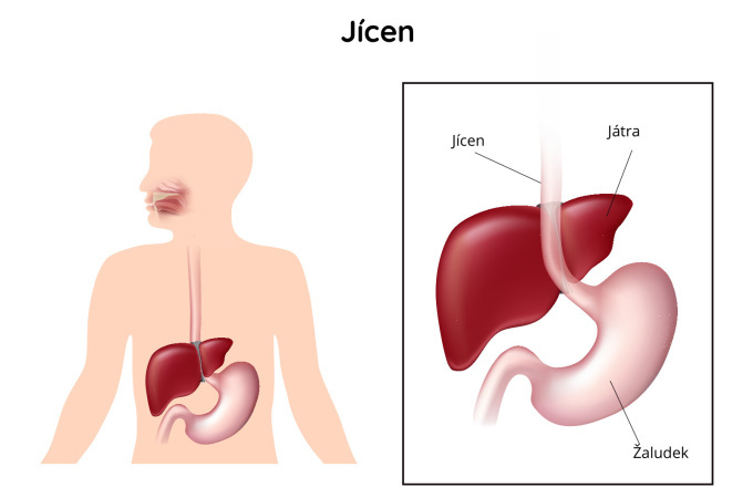 Jícen