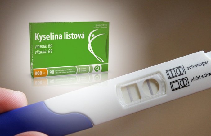 Druhý měsíc těhotenství