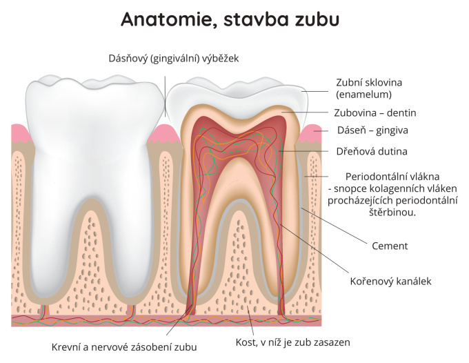 čištění zubů