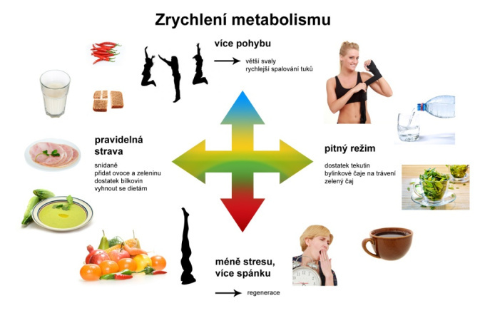 zrychlení metabolismu