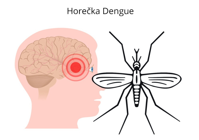 Horečka dengue