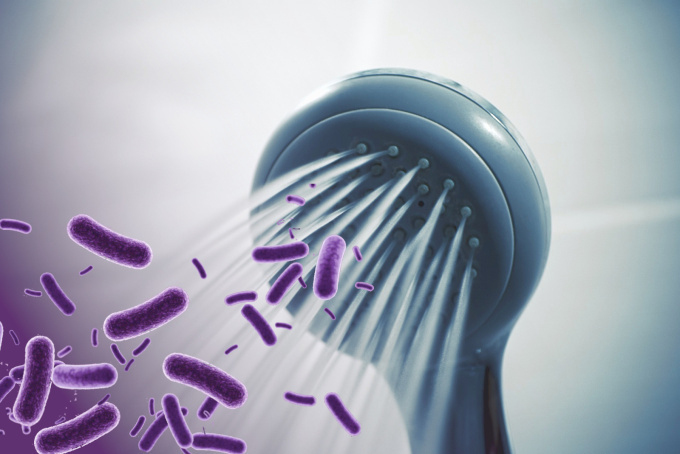 Legionelóza, Legionella
