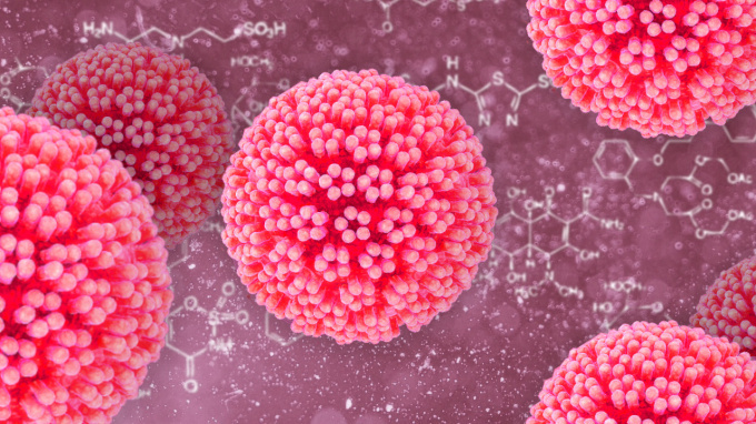 Lidský papilomavirus (HPV)
