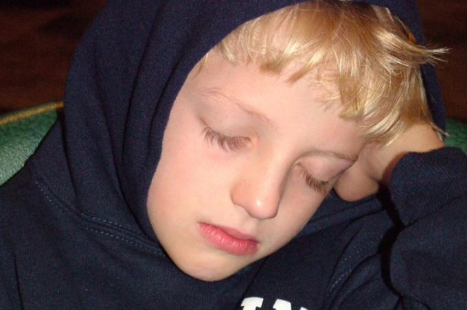 Příušnice