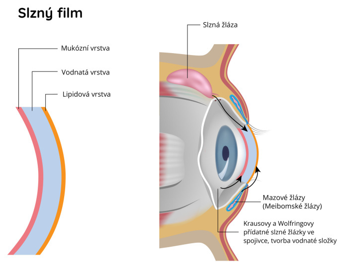 Slzný film