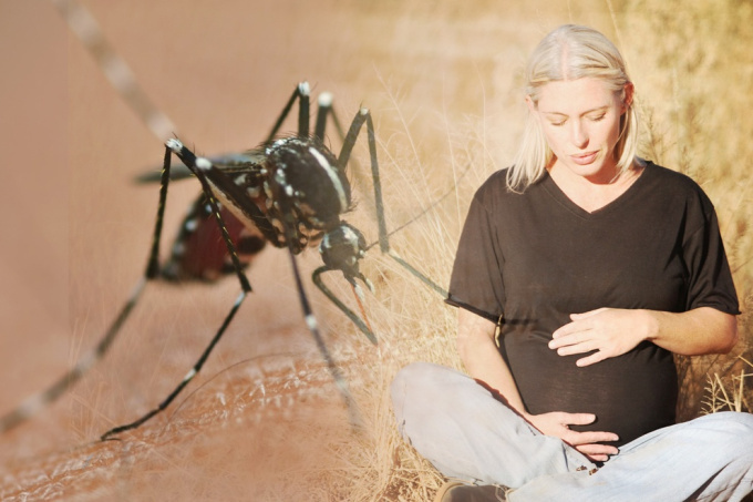virus Zika